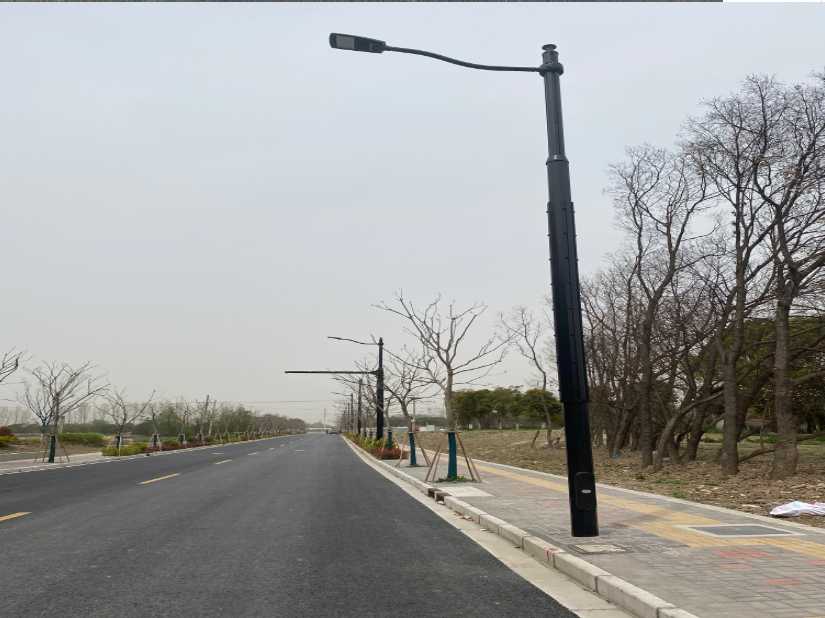塔河县上海综合杆 太阳能路灯工程